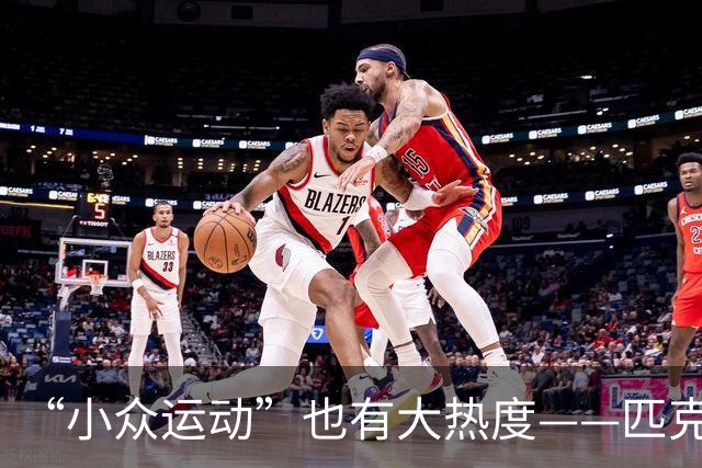 “小众运动”也有大热度——匹克球首次亮相四川省运会赛场